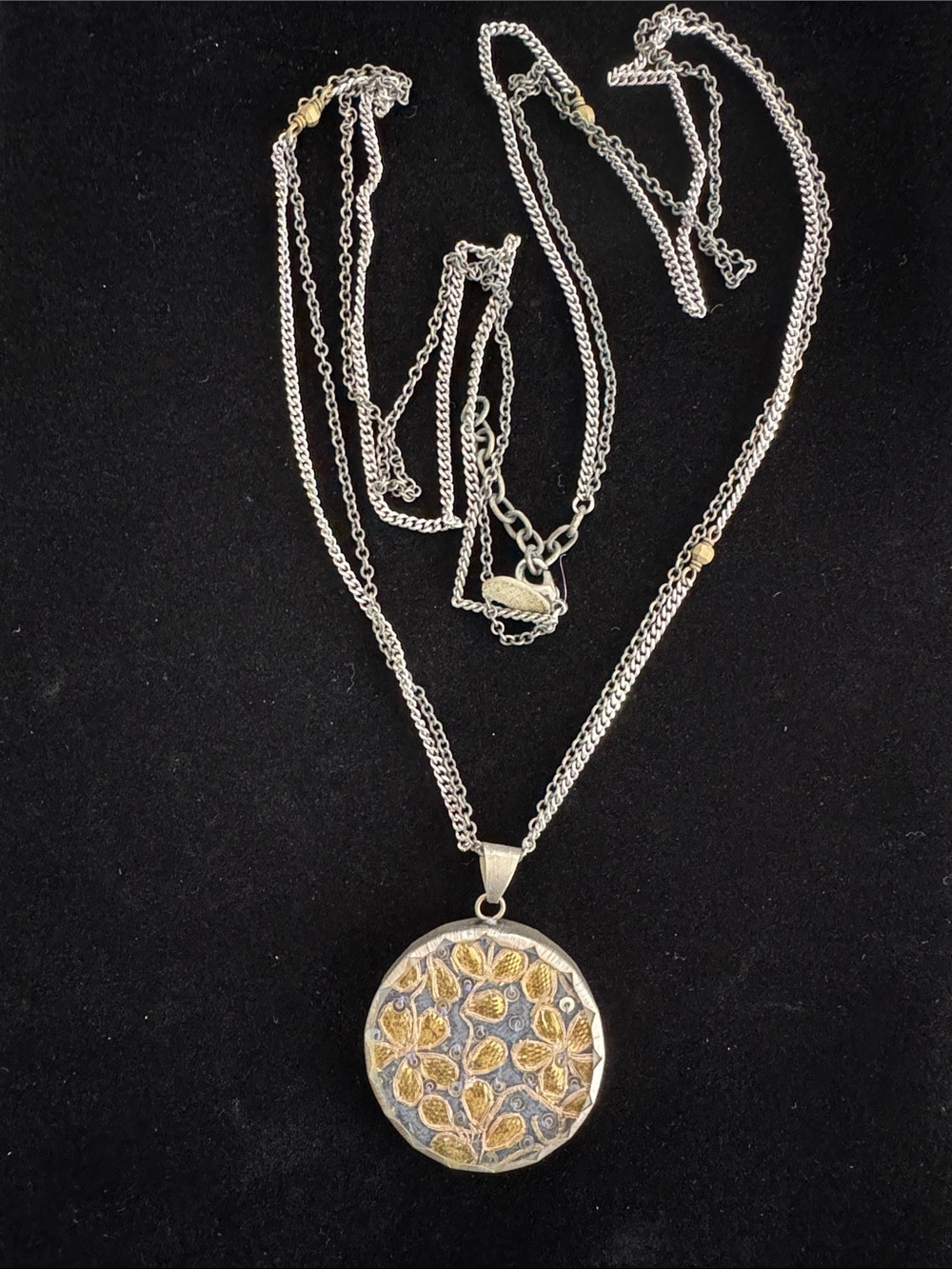 Presh Sari Pendant Necklace with Elegant Long Chain - Picture 8 of 9